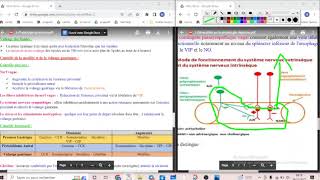 UE2 Physiologie Digestive 3 بالعربية  Physiologie Gastrique Vidange Gastrique part3 [upl. by Wilder]