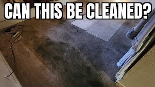 Can This Carpet Be Restored 😬 carpetcleaning asmr [upl. by Esorbma]