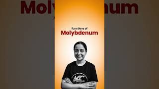 Functions of Molybdenum [upl. by Ahsenaj]