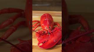 How to Cook and DeShell Lobsters Correctly shorts [upl. by Wills]