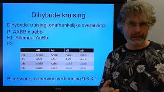 Biologie VWO BB Ontkoppeling en polygene overerving [upl. by Nerrak]