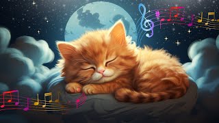 12 godzin 🐱 Mruczenie kota i relaksująca muzyka do snu 🎶 Harmonia nocy  Klucz do spokoju 💜 [upl. by Keisling]