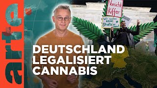 Cannabis – in Deutschland legal  Mit offenen Karten  Im Fokus  ARTE [upl. by Norty251]