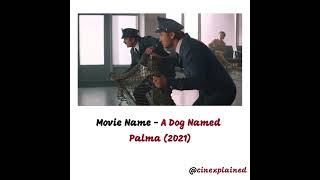 A Dog Named Palma Movie Explained Part 8 [upl. by Hyland]