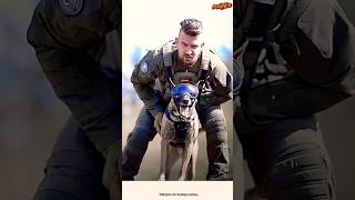 🔝💯❤️TRAINING DOG germanshepherd dog pets malinois pubg [upl. by Leonardi]