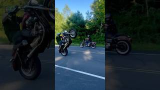 17 Sportster 1200 XL Custom WHEELIE with FORWARD CONTROLS🫣subscribe 2024 stunt fyp short [upl. by Sinnek]