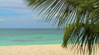 Am Meer  Best of Music for Relaxation by Dr Arnd Stein [upl. by Sibley180]