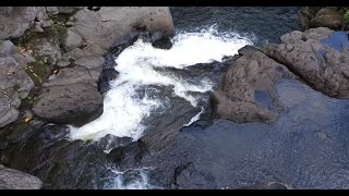 Umauma Stream Hawaii [upl. by Hertzog532]