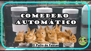 COMEDERO para CONEJOS Dispensador AUTOMÁTICO 🐇 [upl. by Eelasor]