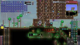 Modded Terraria Ep 28 [upl. by Frohne958]