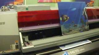 Triaxes and RusscomMimaki lenticular printing [upl. by Heer]