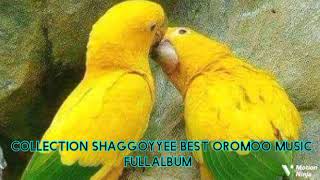 collection shaggooyyee harargee best oromoo music full album [upl. by Nilya422]