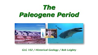 The Paleogene Period [upl. by Adnawak564]