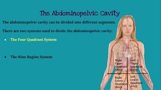 CHAPTER 1 Introduction to Anatomy and Physiology [upl. by Ettevram]