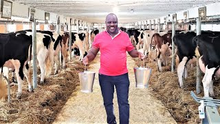 Cheap Feed Producing 30 litres Per Cow Super Integrated Farm [upl. by Adnawot]