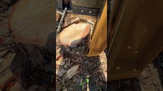 Will a Log 🪵 Splitter Split Green Wood Let’s Find Out Now ✅ logger woodsplitter wood [upl. by Omarr]