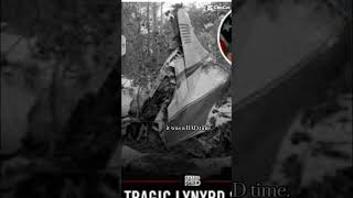 Lynyrd Skynyrds plane crash was a bad time but we survived [upl. by Adnac]