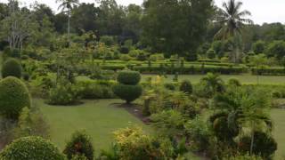 Jardin Botanique des Cayes [upl. by Aikkan]