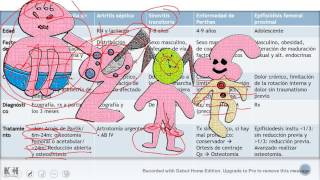 Traumatología Pediátrica Repaso rápido ENARMMIR [upl. by Nocaj]