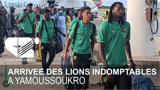 CAN 2023  ARRIVEE DES LIONS INDOMPTABLES A YAMOUSSOUKRO [upl. by Naashom]