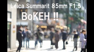 Leica Summarex 85mm F15 Test Photo amp Bokeh Very Rare Lens [upl. by Yanaton27]