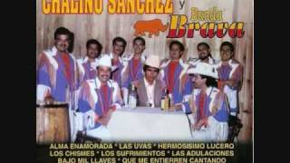 Chalino Sanchez y Banda BravaLas Adulaciones [upl. by Natsud388]