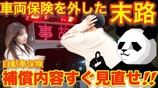 【永久保存版】車両保険を入れても保険料を安くするテクニック [upl. by Secnarfyram570]