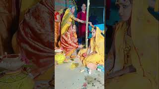 Haldi trending viralshort sweta viralvideo sorts [upl. by Darlleen458]