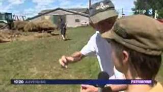 Fête de la batteuse  Coheix 63 sur France 3 Auvergne [upl. by Neicul]