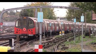 London Underground  Victoria amp Northern Line 8th November 2024 [upl. by Britt258]