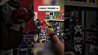 Canelo Training 🥊🔥 canelo boxing shorts [upl. by Jeramie]