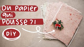 Comment faire du papier ensemencé chez soi 🌱 DIY [upl. by Adnarahs742]