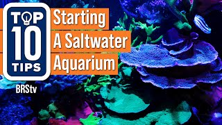 The secret to selecting the right size and shape for your first saltwater aquarium Choose wisely [upl. by Iuq]