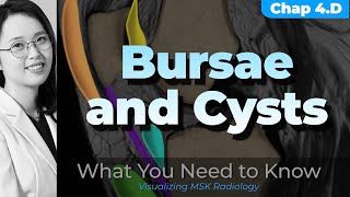 Chapter 4 D⎜Burse and cysts or cystlike lesions ⎜Knee MRI⎜Visualizing MSK Radiology⎜timeline [upl. by Roath]