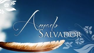 Amado SalvadorLLDM [upl. by Ober]