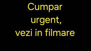 Diferenta dintre hrana albinelor si mierea pentru vanzare [upl. by Hpsoj]