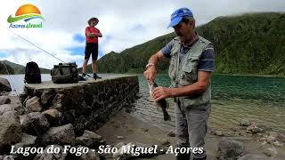 Lagoa do Fogo  one of the grandest nature attractions of São Miguel island [upl. by Ettennaj]