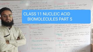 CLASS 11  NUCLEIC ACID  BIOMOLECULES  PART 5 [upl. by Atirat]