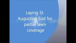 Laying St Augustine Sod for partial lawn coverage [upl. by Zilber]