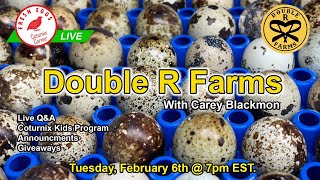 Coturnix Corner LIVE  Farm Introductions [upl. by Ekyt823]