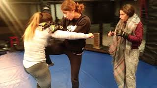 Excelsis movie  womens MMA movie [upl. by Nich468]