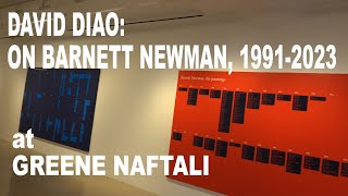 David Diao On Barnett Newman 19912023 at GREENE NAFTALI [upl. by Kennedy]