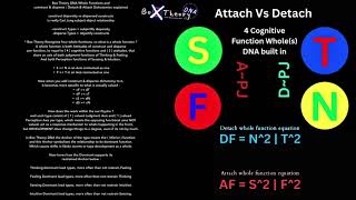 Detach vs Attach  Construct vs Disperse Dichotomy Explained in Box Theory DNA 16Types mbti [upl. by Eelloh]