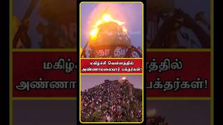 Tiruvannamalai Deepam 2024  Tiruvannamalai Live  Thiruvannamalai Deepam 2024  Deepam  Shorts [upl. by Romeon943]