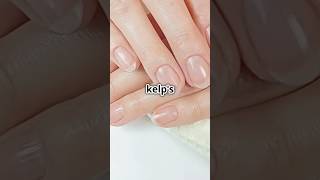 Top 10 Benefits of Sea Kelp for Stronger Healthier Nails shorts [upl. by Salita860]