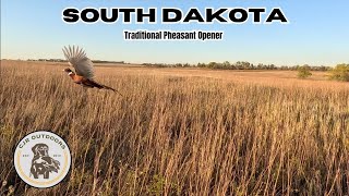 South Dakota Traditional Pheasant Opener 2024 PUBLIC LAND [upl. by Naghem]