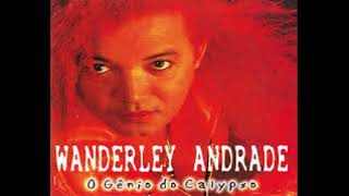 Wanderley Andrade  Traficante do amor [upl. by Enaek]