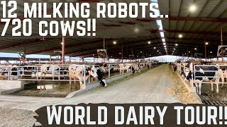 This New Dairy Has 12 Milk Robots [upl. by Mcnalley]