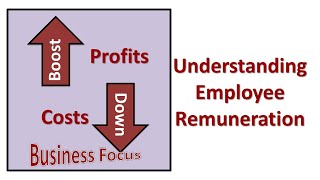 Understanding Employee Remuneration [upl. by Benjie984]