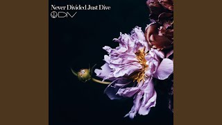 Never Divided Just Dive [upl. by Kenwood]